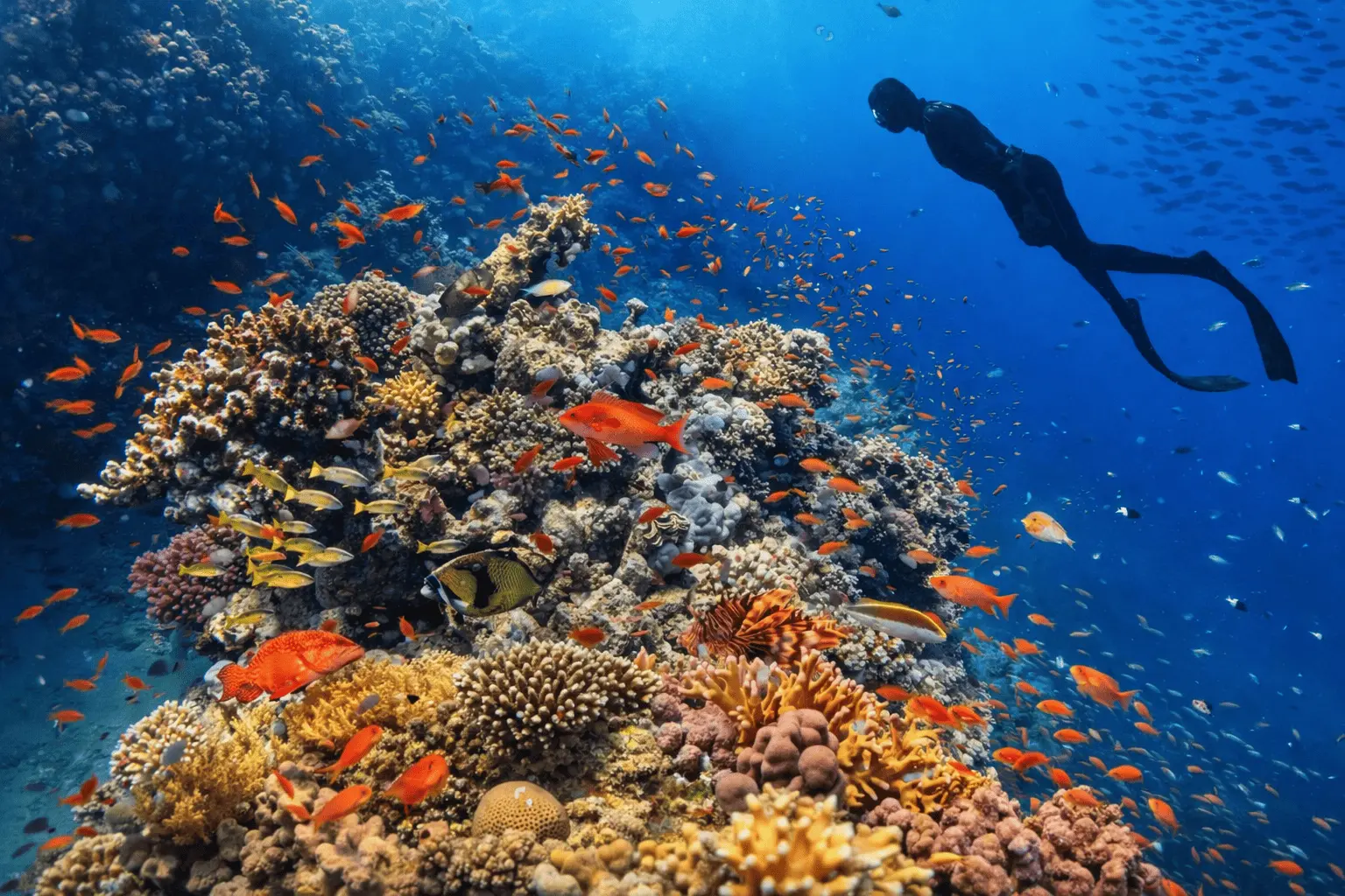 things to do in hurghada